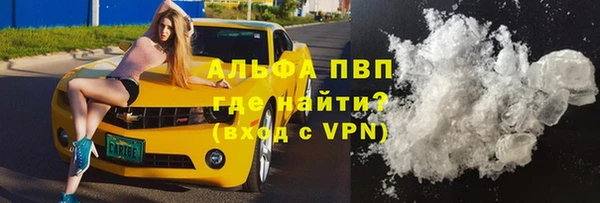 мдпв Гусев
