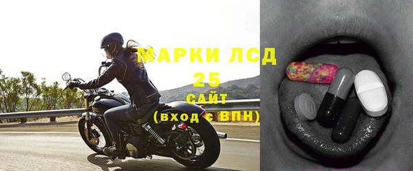 мдпв Гусев