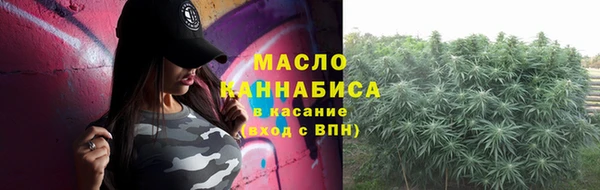 мдпв Гусев