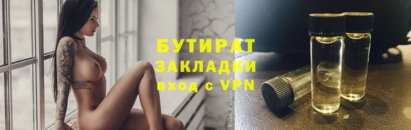 мдпв Гусев