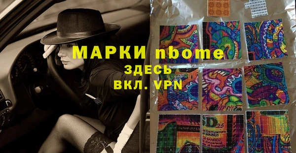 мдпв Гусев
