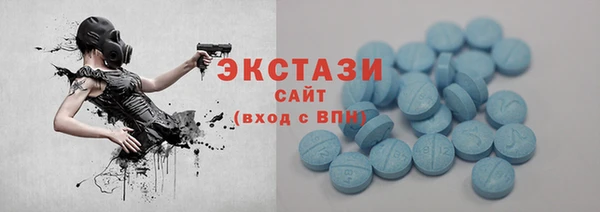 мдпв Гусев