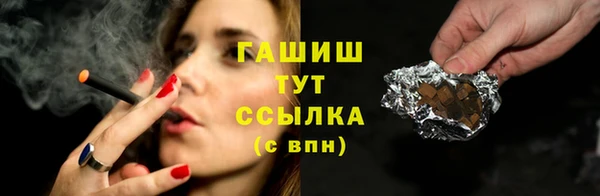 мдпв Гусев