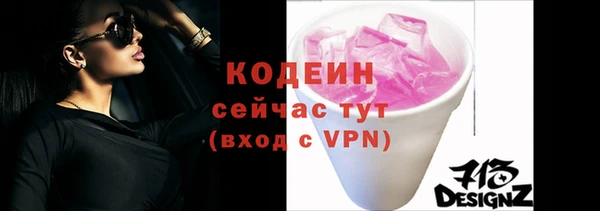 мдпв Гусев
