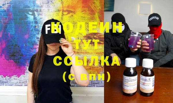 мдпв Гусев