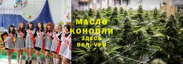 мдпв Гусев