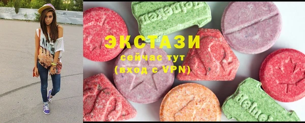 мдпв Гусев