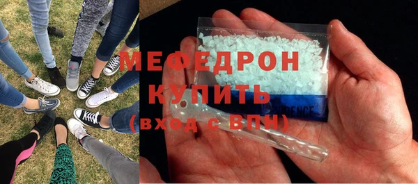 мдпв Гусев