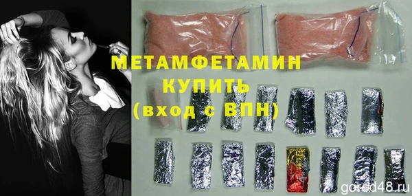 мдпв Гусев