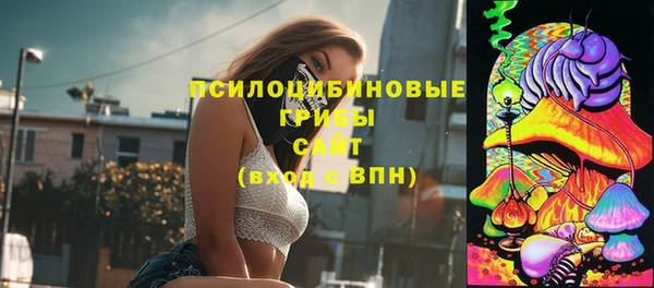 COCAINE Гусь-Хрустальный